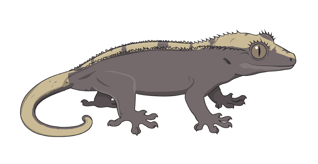 A gecko drawn from its genes by the renderer: With Hypo (Lavender)