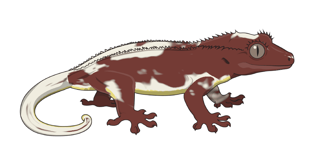 A gecko drawn from its genes by the renderer: Lilly White on a red gecko